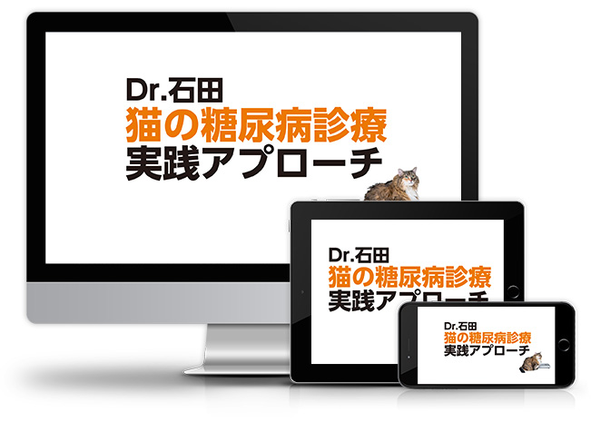 Dr.石田 猫の糖尿病診療実践アプローチ│医療情報研究所DVD