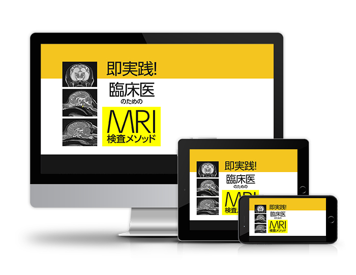 即実践！臨床医のためのMRI検査メソッド│医療情報研究所DVD