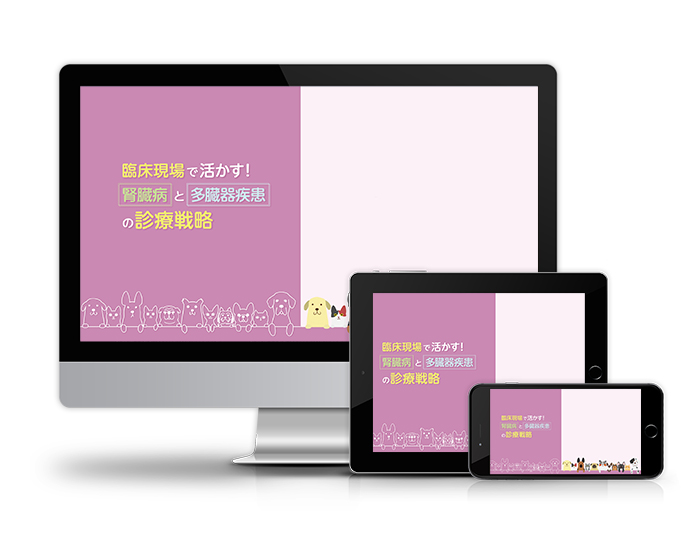 臨床現場で活かす！腎臓病と多臓器疾患の診療戦略│医療情報研究所DVD