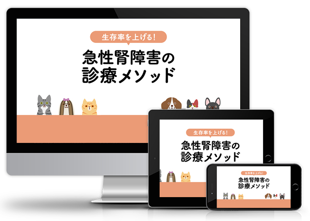 生存率を上げる！急性腎障害の診療メソッド│医療情報研究所DVD