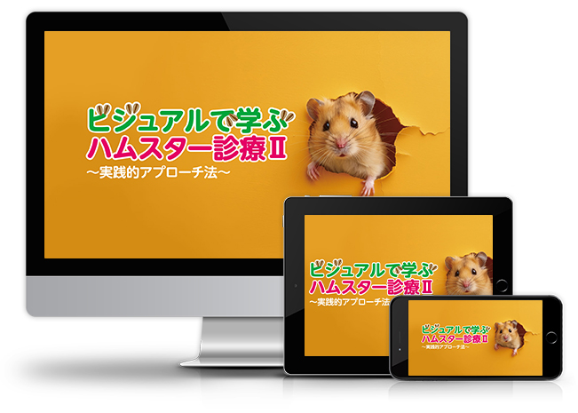 ビジュアルで学ぶハムスター診療Ⅱ～実践的アプローチ法～│医療情報研究所DVD